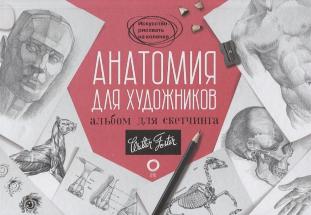 

Анатомия для художников. Альбом для скетчинга
