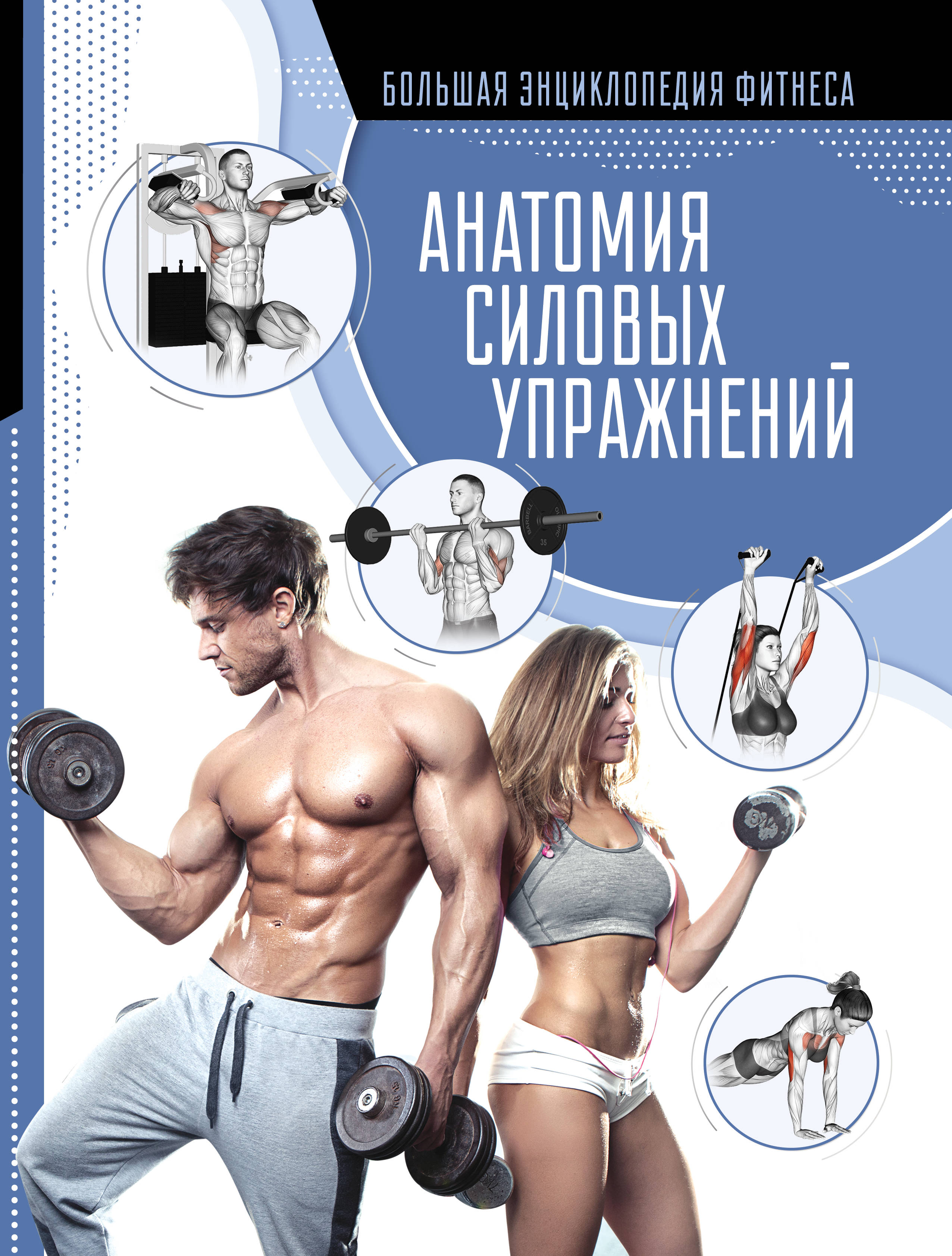 

Анатомия силовых упражнений (4193628)