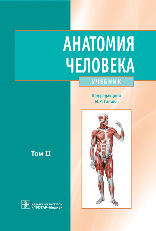 

Анатомия человека. В 2-х томах. Том 2. Учебник для ВУЗов (591411)