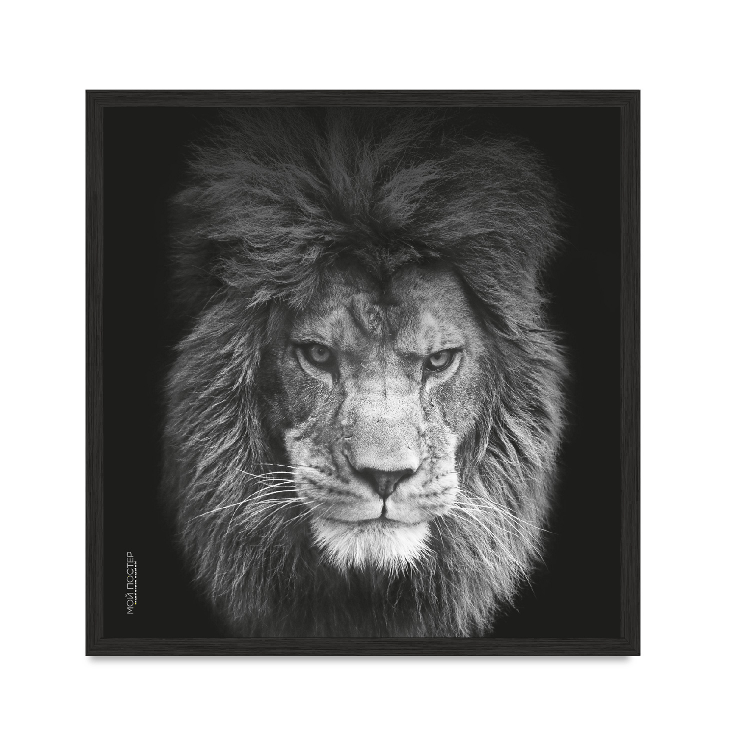 

Постер в рамке MY POSTER с антибликовым стеклом 45х45 см Black "Lion vol 5."