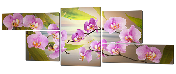

Модульная картина Interno Холст Розовая орхидея 184х69см