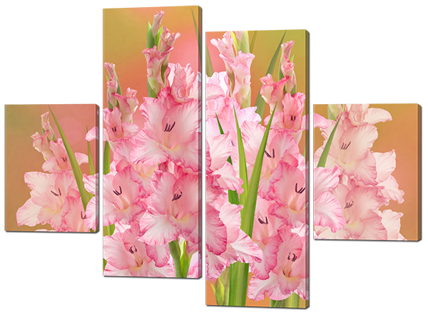 

Модульная картина Interno Холст Цветы Гладиолусы 106х77см