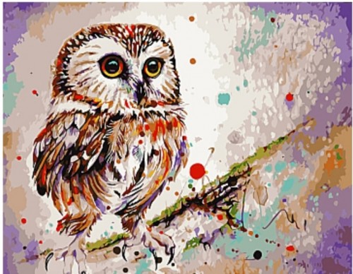 

Картина по номерам "Сова" 40*50 в КОРОБКЕ, ArtStory