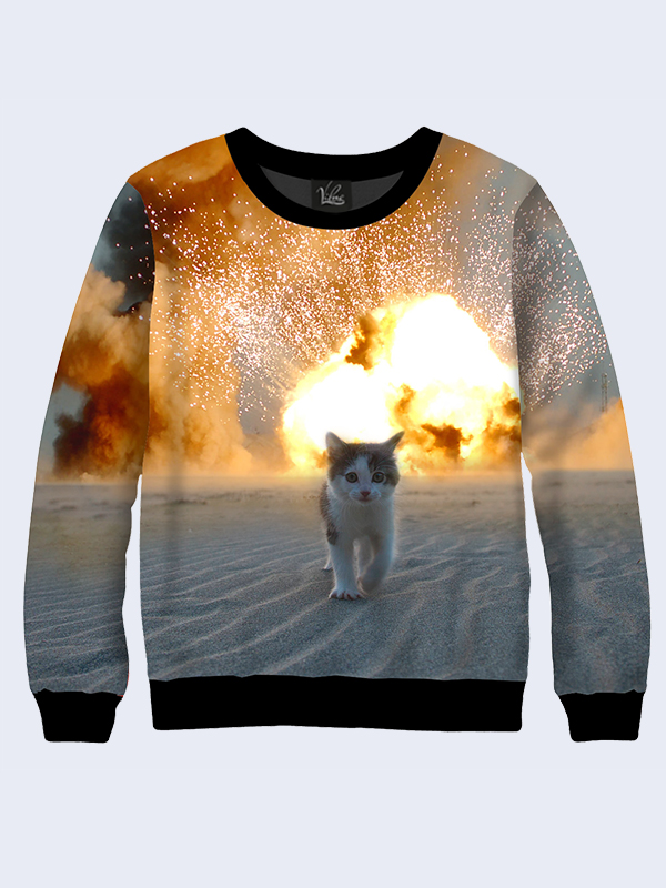 

Мужской свитшот Cat and explosion (2895) Vilno L 000137513