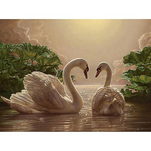 

Картина по номерам "Пара лебедей" 40*50 см Идейка (КНО301)