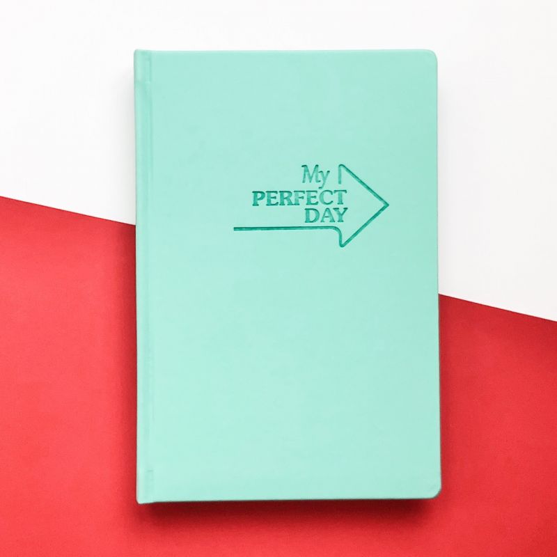 

Мотивирующий планер-ежедневник My perfect day LifeFLUX А5 мятный (русский язык)
