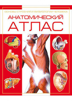 

Анатомический атлас. Основы строения и физиологии. 93257