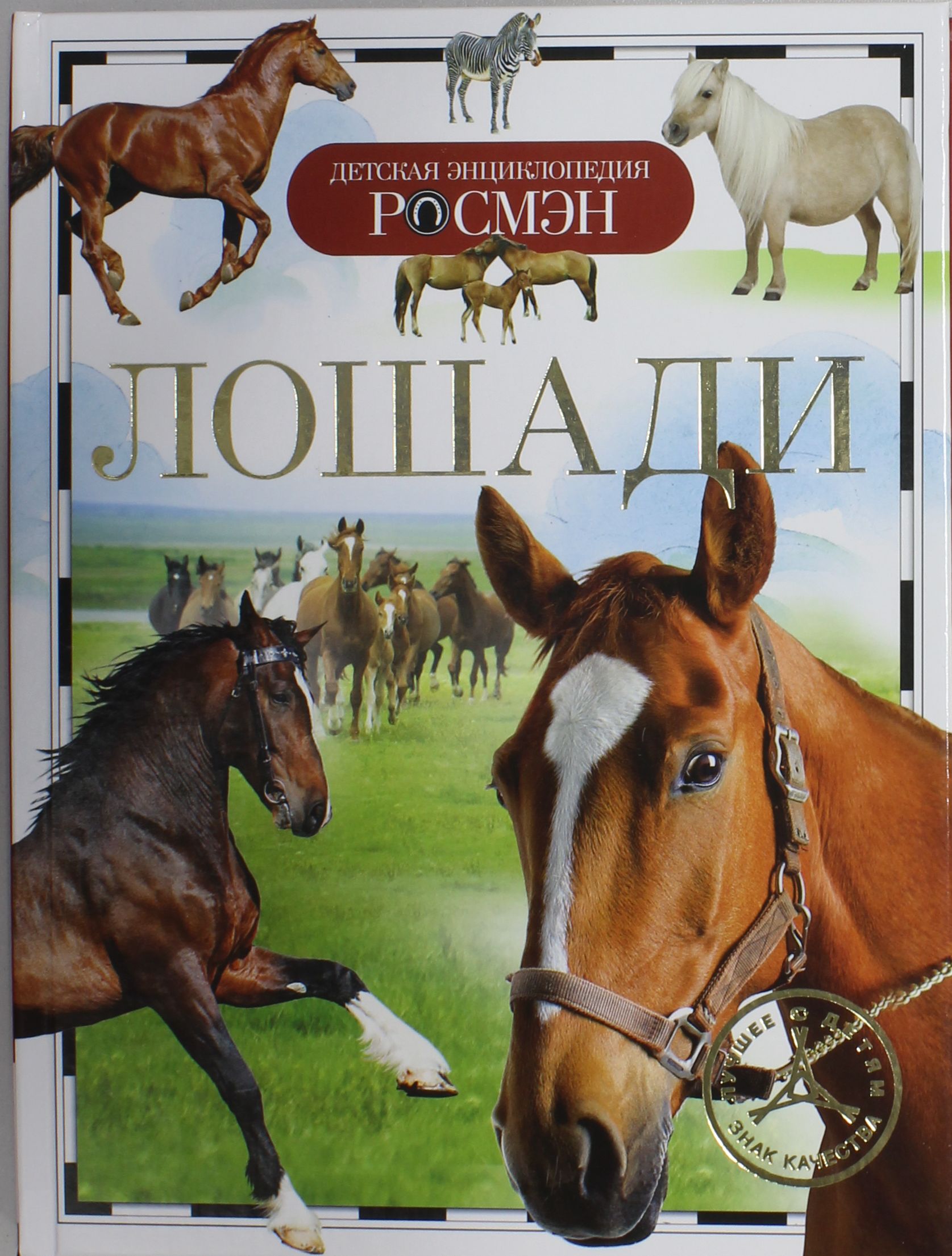 

Лошади