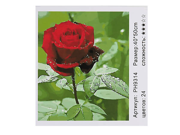 

Картина по номерам "Роза" 40*50см Shinerichy Ind (9314)