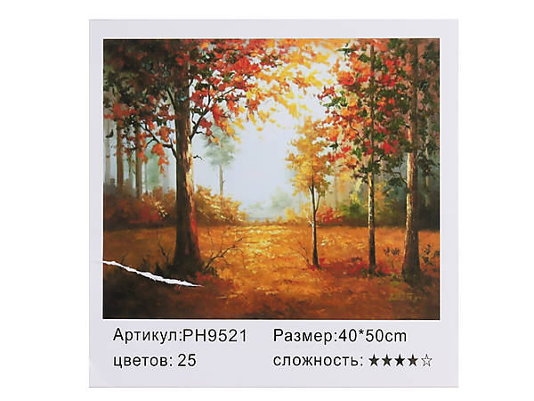 

Картина по номерам "Осень золотая" 40*50см Shinerichy Ind (9521)