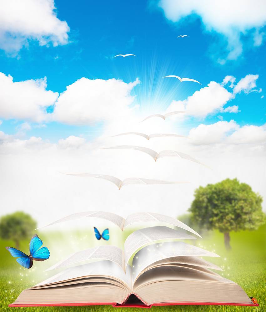 

Картина на холсте LaPrint Книги 60х90 см