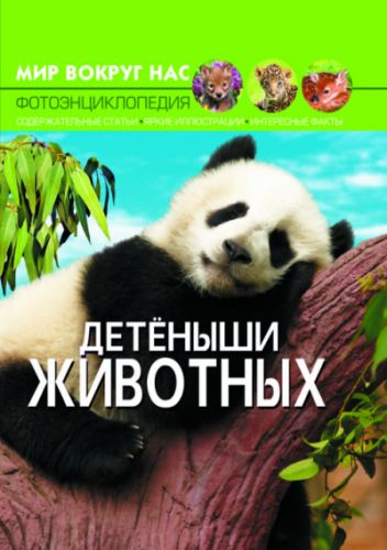 

Книга: Мир вокруг нас. Детеныши животных, рус F00020859 (15-139921)