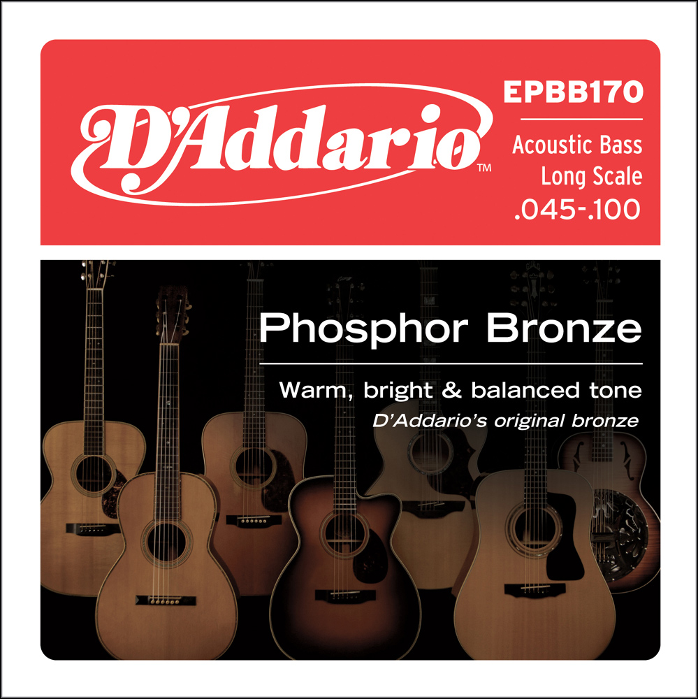 

D'Addario EPBB170 Phosphor Bronze Acoustic Bass 45-100 Long Scale