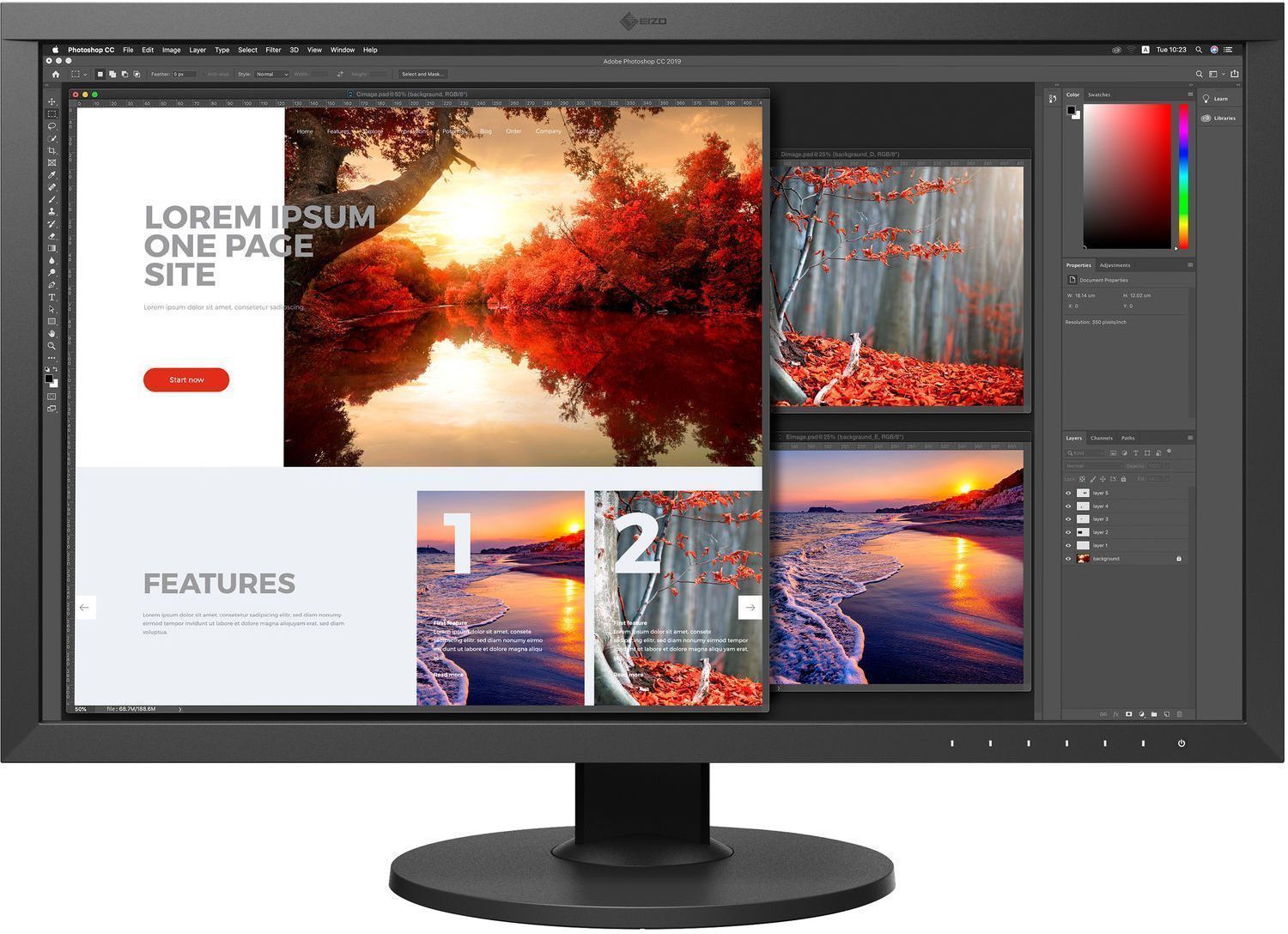 

Монитор Eizo CS2740 (CS2740)