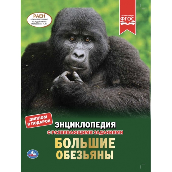 

Большие обезьяны (18349171)