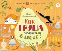 

Как груша попадает в мозг (14767476)
