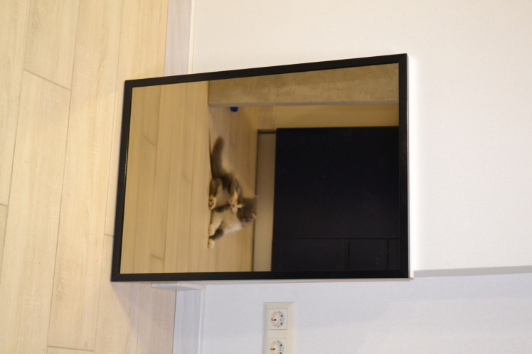 

Зеркало в алюминиевой раме StolicaMebel vertical bronze 120х50 см Черный