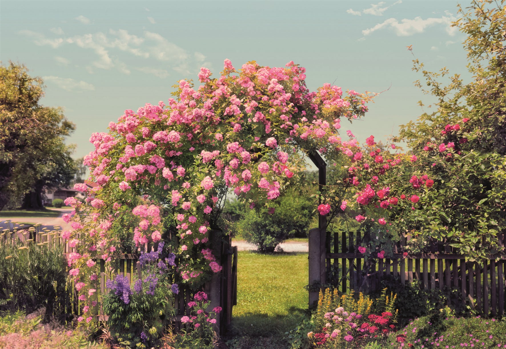 

Фотообои бумажные Komar Rose Garden 368х254 см 8 сегментов (8-936)