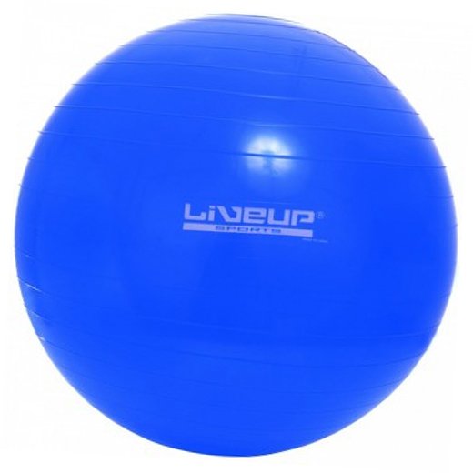 

LiveUp Фитбол Gym Ball LS3221 65см Синий (56396086)