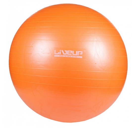 

LiveUp Фитбол Anti-Burst Ball 65см Оранжевый (56396013)