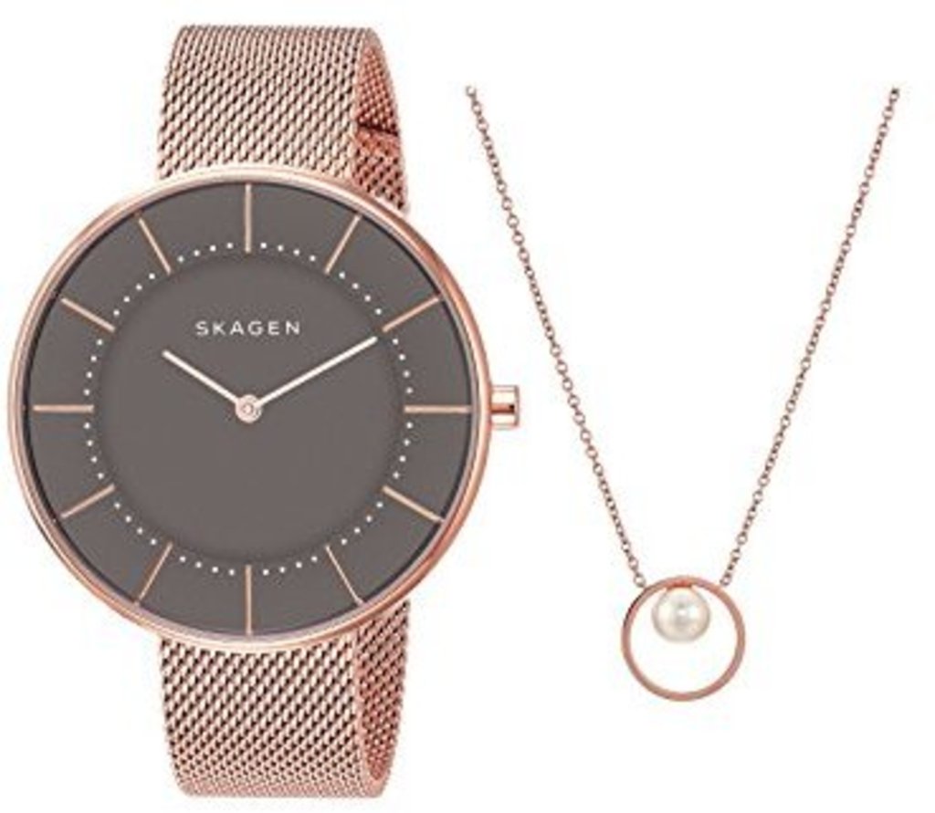 

Часы SKAGEN SKW1089