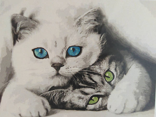 

Рисование по номерам "Кошечки" 40*50 см Идейка (КНО4098)