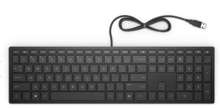 

Клавиатура HP Pavilion Wired Keyboard 300