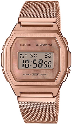 

Часы CASIO A1000MPG-9EF