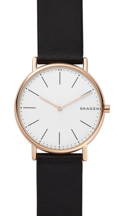

Часы SKAGEN SKW6430