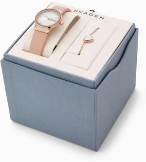 

Часы SKAGEN SKW1113