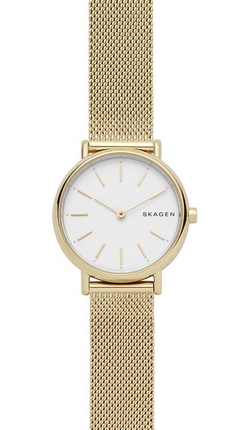 

Часы SKAGEN SKW2693