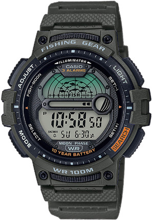 

Часы CASIO WS-1200H-3AVEF