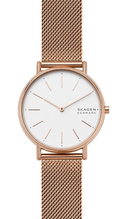 

Часы SKAGEN SKW2784