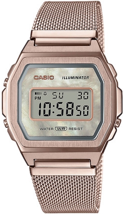 

Часы CASIO A1000MCG-9EF