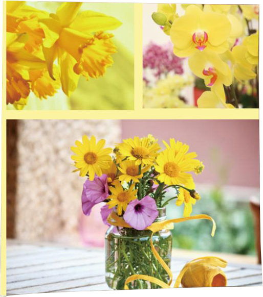 

Фотоальбом EVG Liuboml 10x15x200 Ламинированный картон Разноцветный (BKM46200 Liuboml)