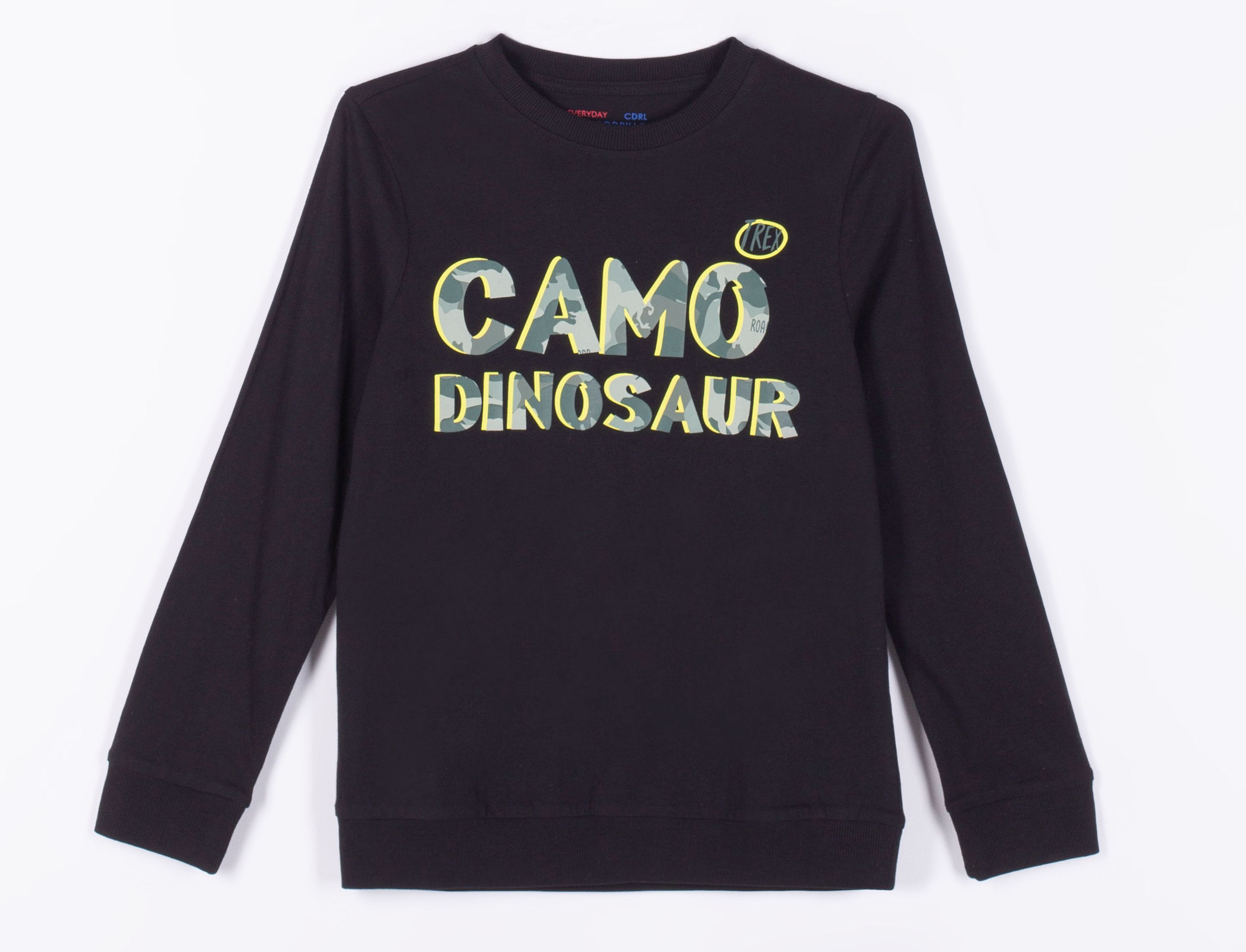 

Свитшот Coccodrillo Everyday Dinosaur WC1143103EDI-021 152 см Темно-серый