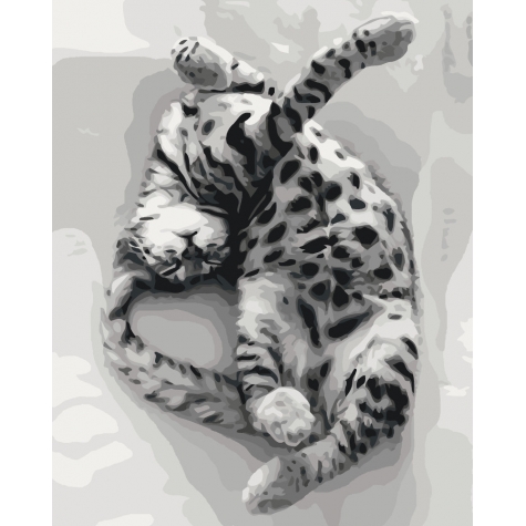 

Картина по номерам Солодкий сон 40*50см Идейка КНО4069