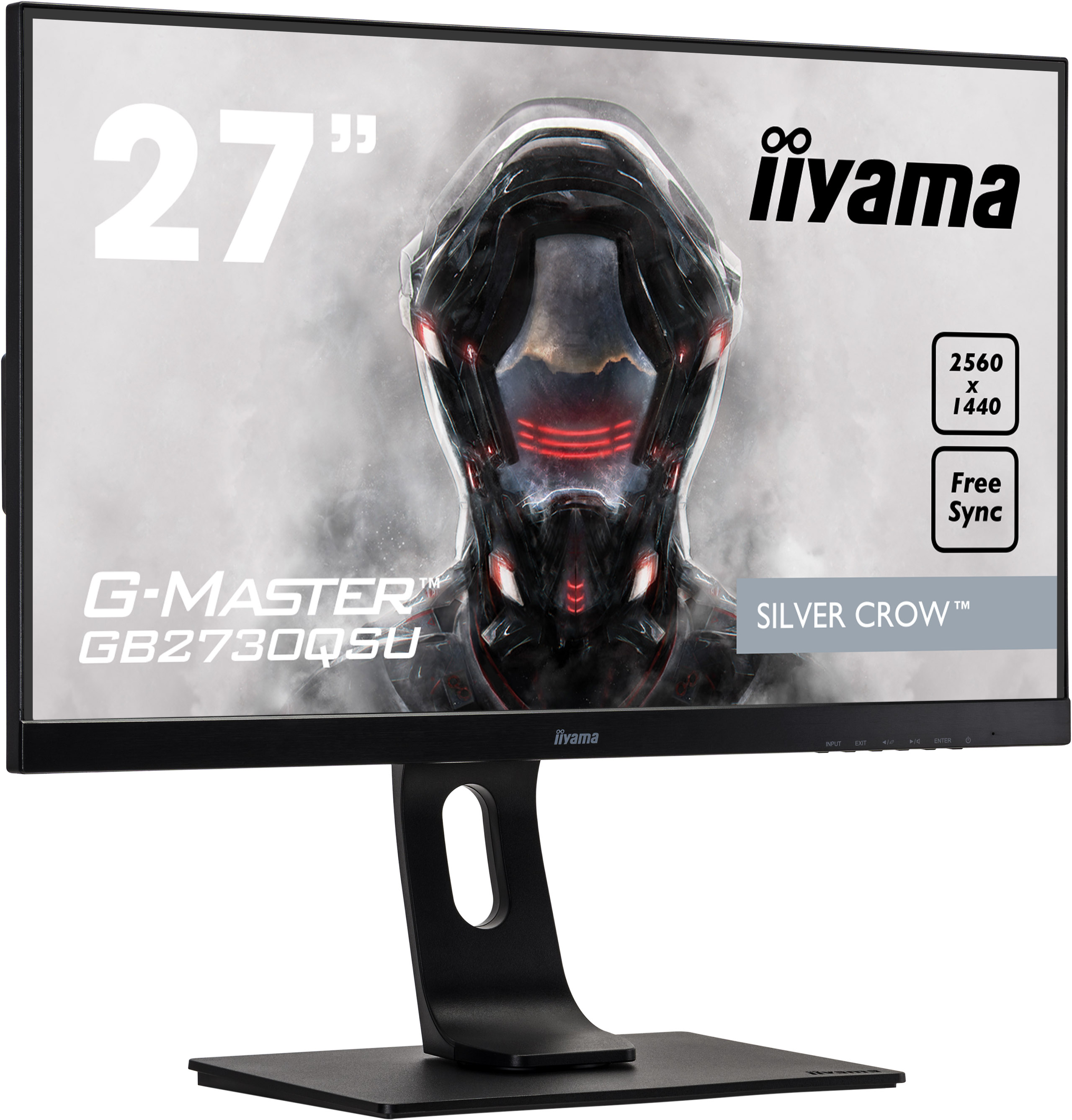 

Монитор iiyama 27" G-Master Black Hawk (GB2730HSUB1)