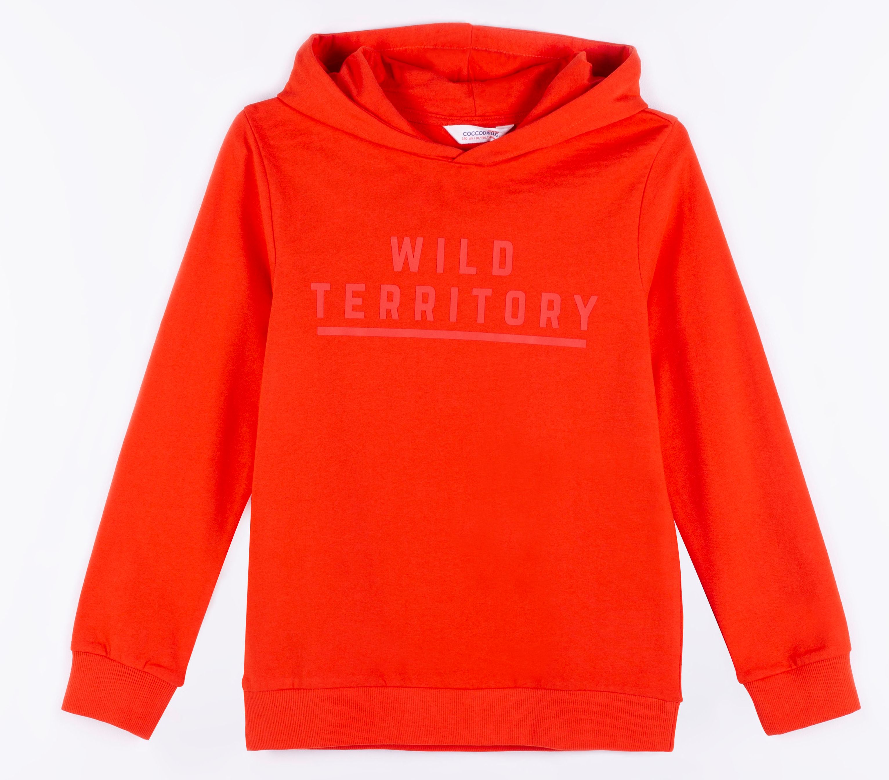 

Худи Coccodrillo Wild Territory WC1132301WIL-009 128 см Красное (5904705490249)