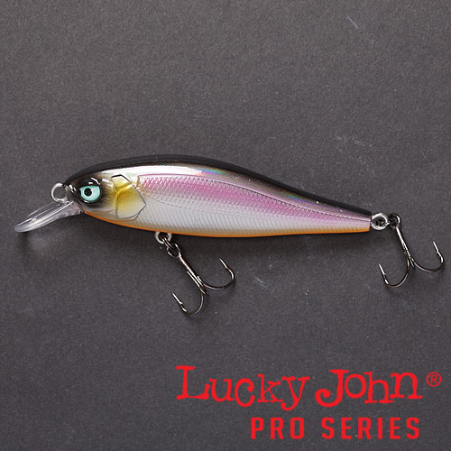 

Воблер Lucky John Pro Series Anira Sp 13г / 8,9см / 0-1,2м / 101 (AN89SP-101)