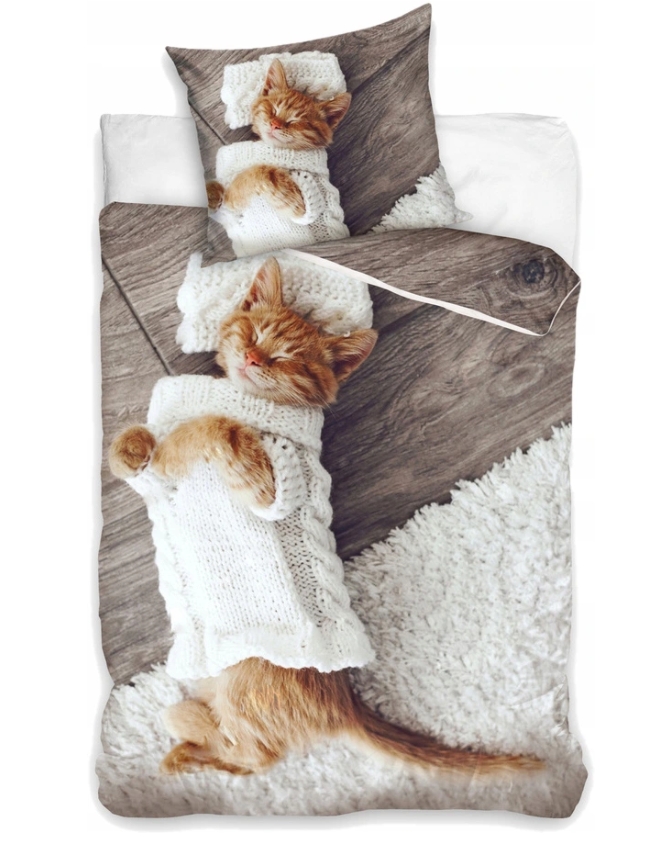 

Детское постельное белье, подростковое Рыжий Котенок (наволочка+пододеяльник) хлопок 160x200 см
