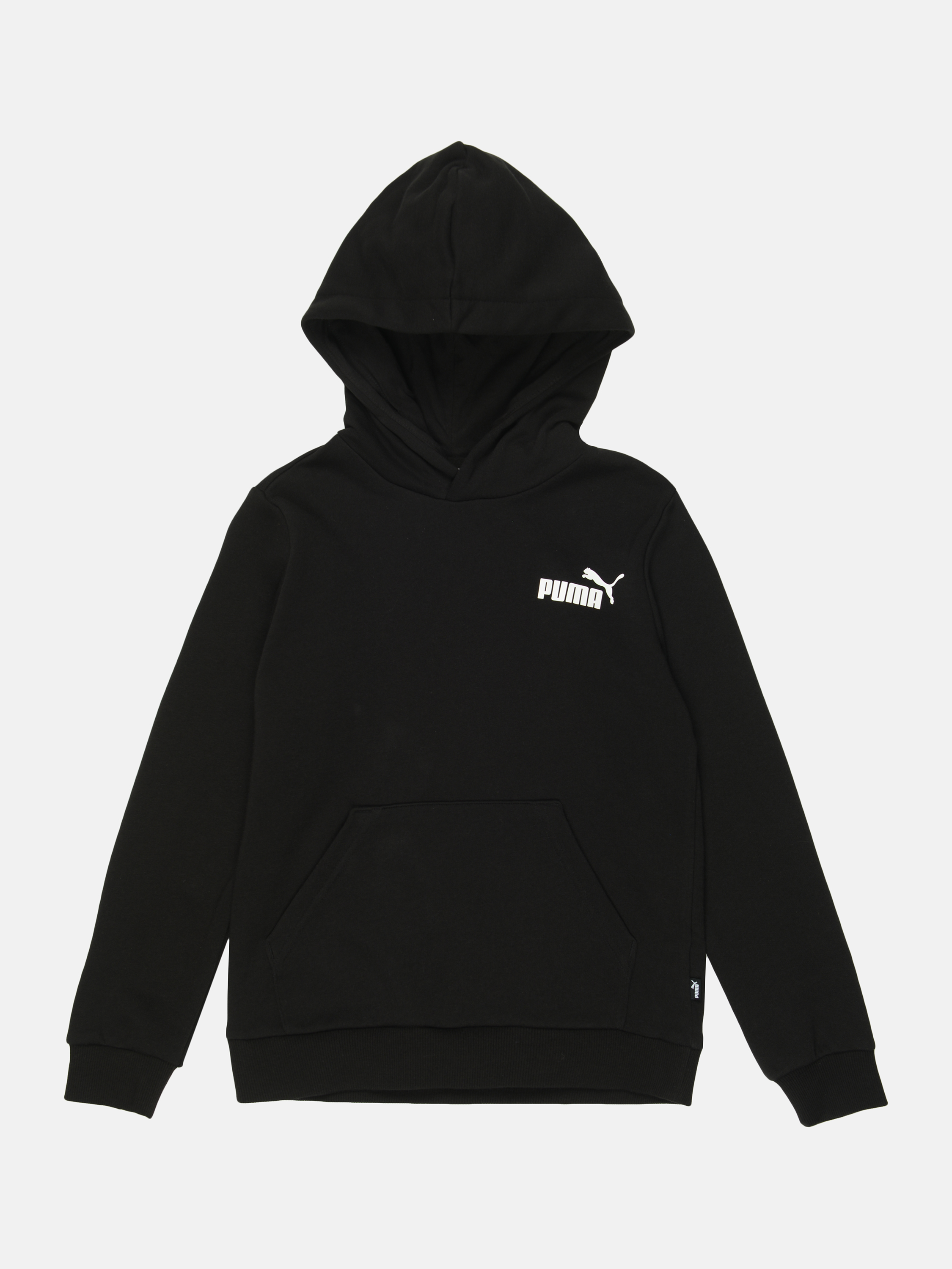 

Худи детское Puma ESS Small Logo Hoodie 58697001 152 см Puma Black