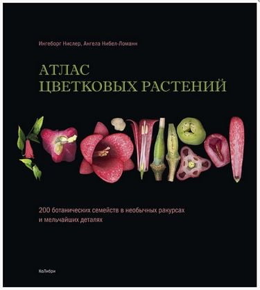 

Атлас цветковых растений. 200 ботанических семейств в необычных ракурсах и мельчайших деталях - Ангела Нибел-Ломанн, Ингеборг Нислер (9785389154476)