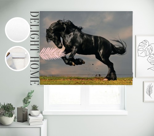 

Римская штора с фотопечатью 00-048 система Prestige I&H Блекаут Нова 60*170 см