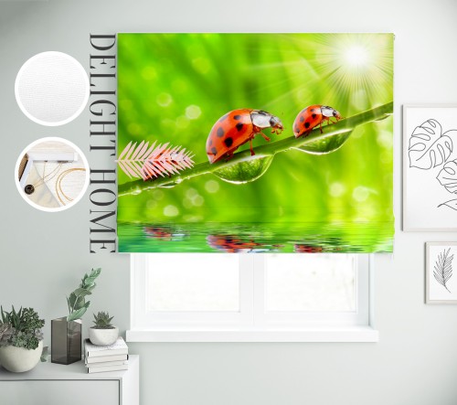 

Римская штора с фотопечатью 08-132 система Light I&H Блекаут Нова 70*170 см