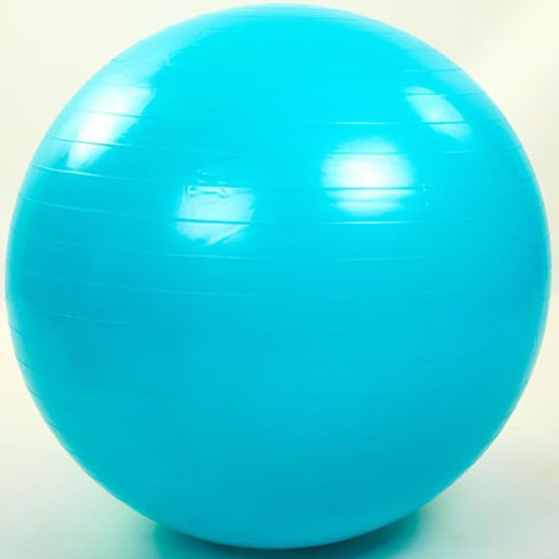 

Мяч для фитнесса FitGo 750 мм, код: FI-1981-75
