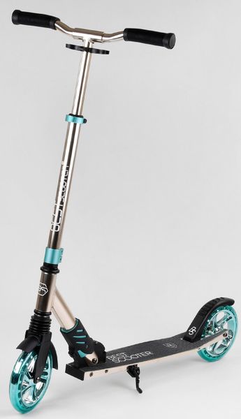 

Самокат Двухколесный Best Scooter Metallic Серебро (i023)