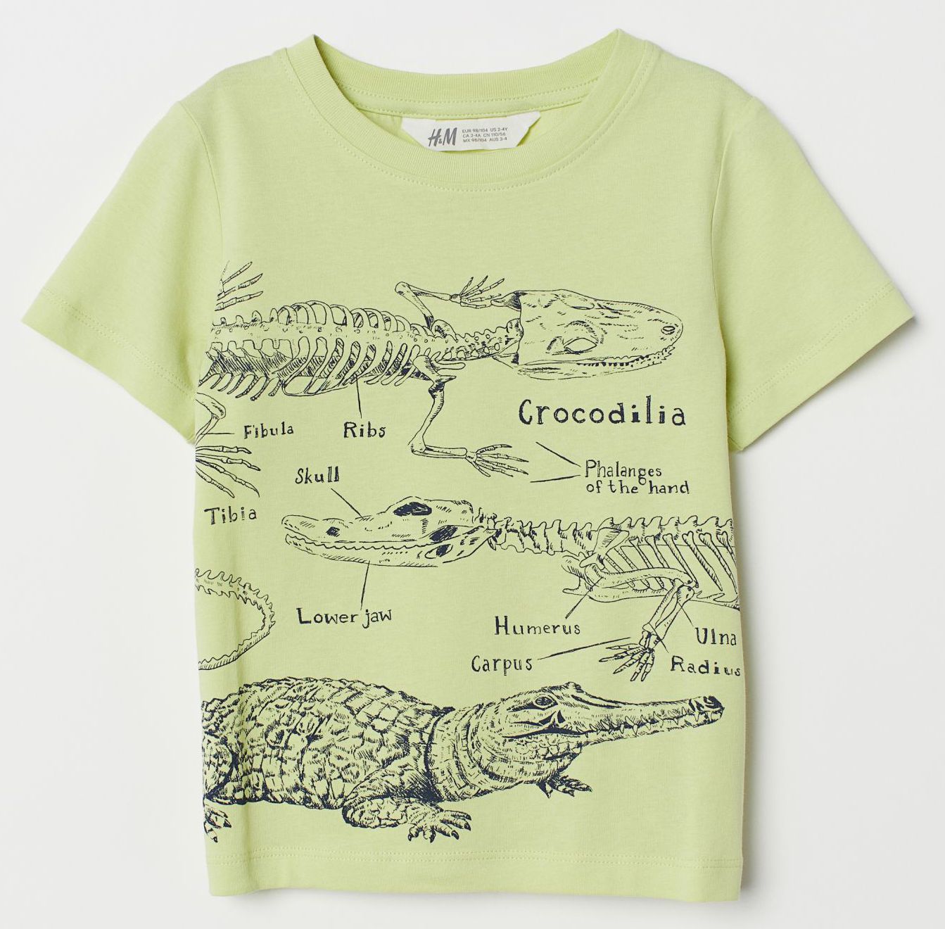 

Футболка H&M 1702-6978139 122-128 см Светло-зеленая (hm00960052142)