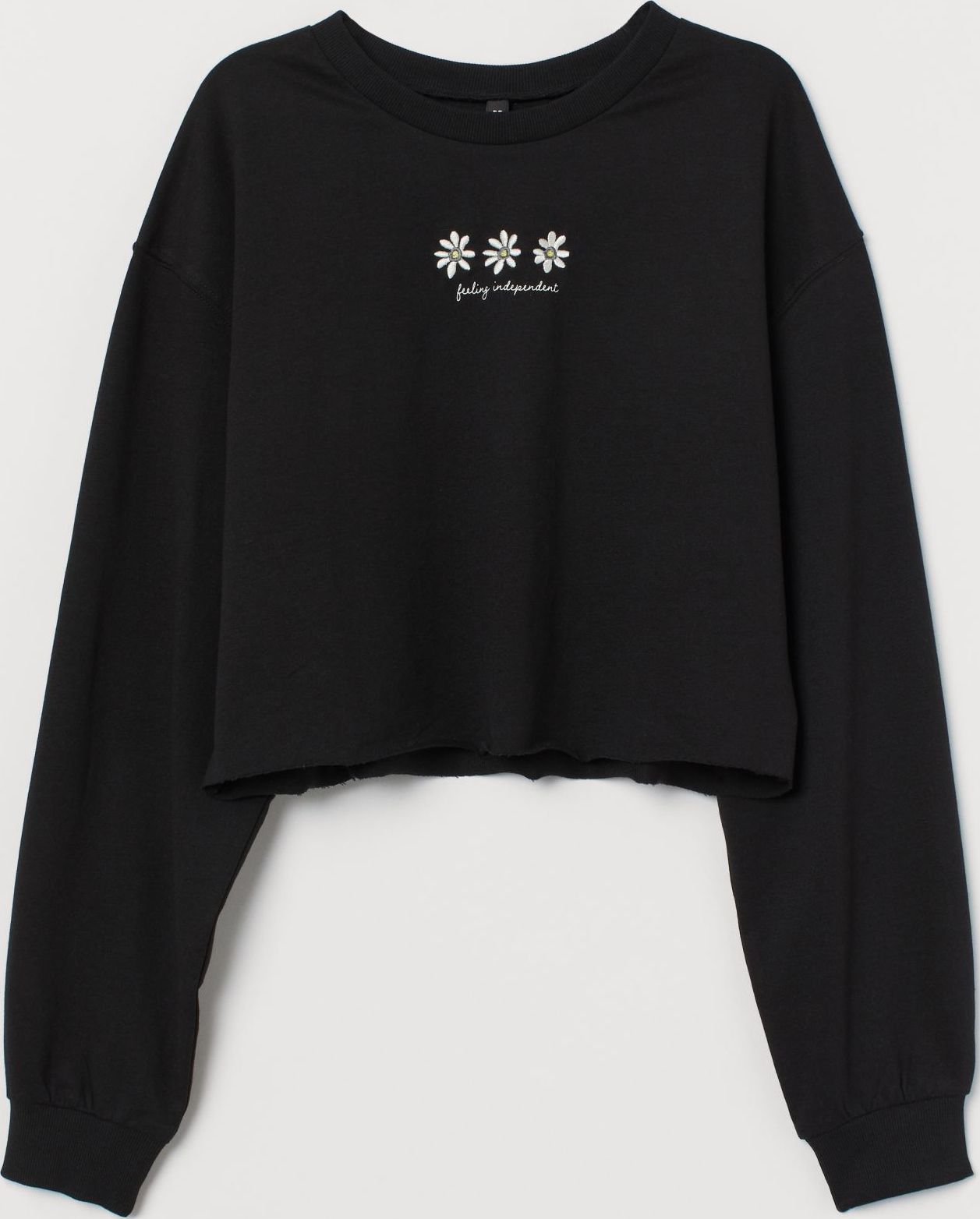 

Свитшот H&M 1902-8319021 M Черный