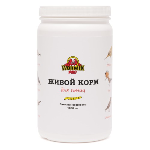

Живой корм для птиц - Зофобас 1000 шт. Ладья-2